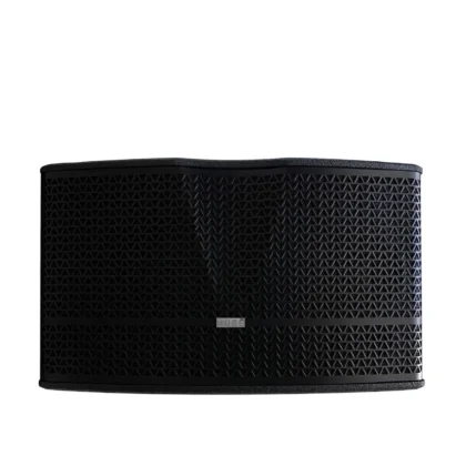 MUSE-專業卡拉OK喇叭（黑）